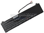 Batterie Acer Predator Triton 500 PT516-51s-96EV