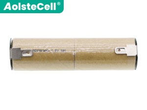 Batterie AEG Junior 1000