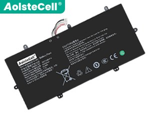 Batterie AolsteCell 2895B4-001