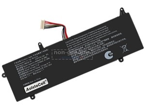 Batterie AolsteCell 6661A4-2S
