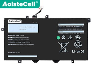 Batterie AolsteCell Gen1-O20800106584