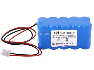 Batterie Biocare ECG-300