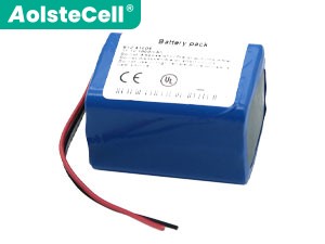 Batterie BYOND BYZ-810DE