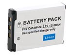 Batterie Casio Exilim Zoom EX-Z150GN