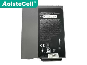 Batterie Getac RX10