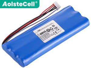 Batterie HiOKi Z1000
