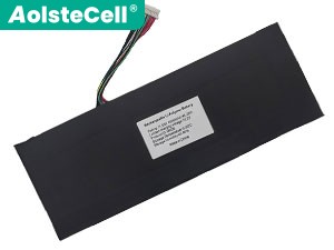 Batterie HIPAA iru-m15x