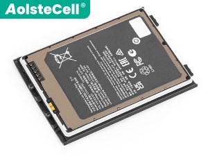 Batterie Honeywell 318-055-024