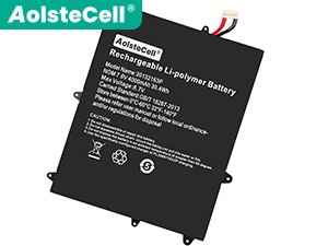 Batterie Jumper 30132163P