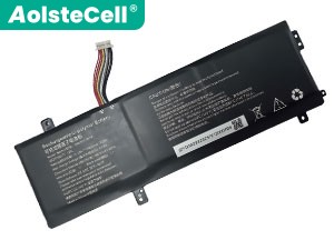 Batterie Metaphyuni MetawiseBook01