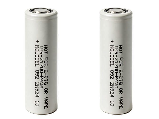 Batterie Molicel p42A10C