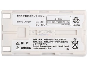 Batterie NEC AVIO R300SR