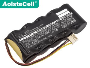 Batterie Panametrics 200-081