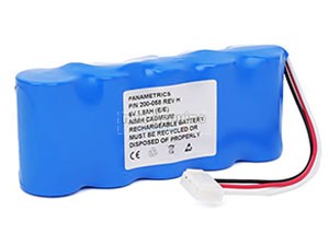 Batterie Panametrics Magna-Mike 8500