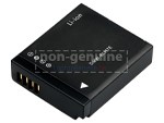 Batterie Panasonic DMC-GM1SK