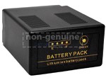Batterie Panasonic C3