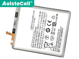 Batterie Samsung Galaxy S21 Fan Edition 5G