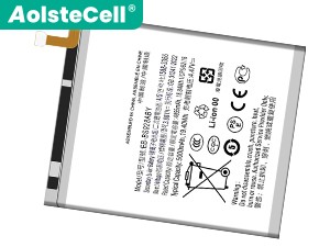 Batterie Samsung Galaxy S24 Ultra SM-S928W
