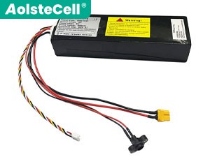 Batterie Segway Ninebot L6