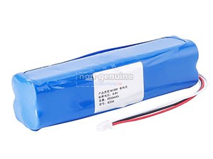 Batterie ShinewayTech AC-BAT-BIG