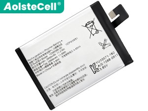 Batterie Sony 132223
