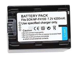 Batterie Sony DCR-SR200