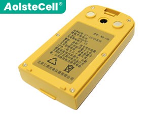 Batterie South NB-10B