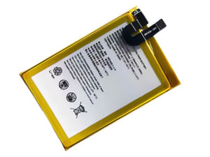 Batterie Sunmi ND10