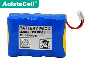 Batterie TOP BP-22