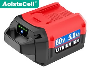 Batterie Toro 51810T
