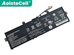 Batterie VIAO VJF16190311W