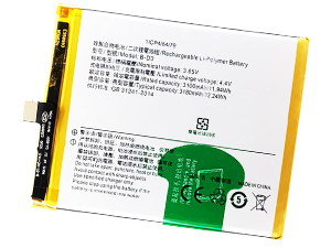 Batterie Vivo B-D3