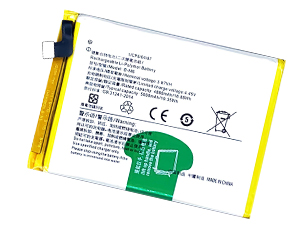 Batterie Vivo B-M6