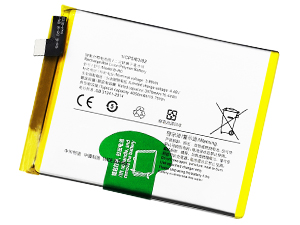 Batterie Vivo S10