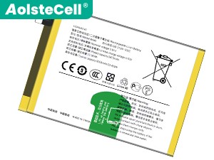 Batterie Vivo BA45