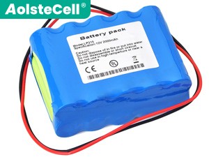 Batterie XINKE LP2000-P2