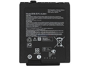Batterie Xplore XLBM1